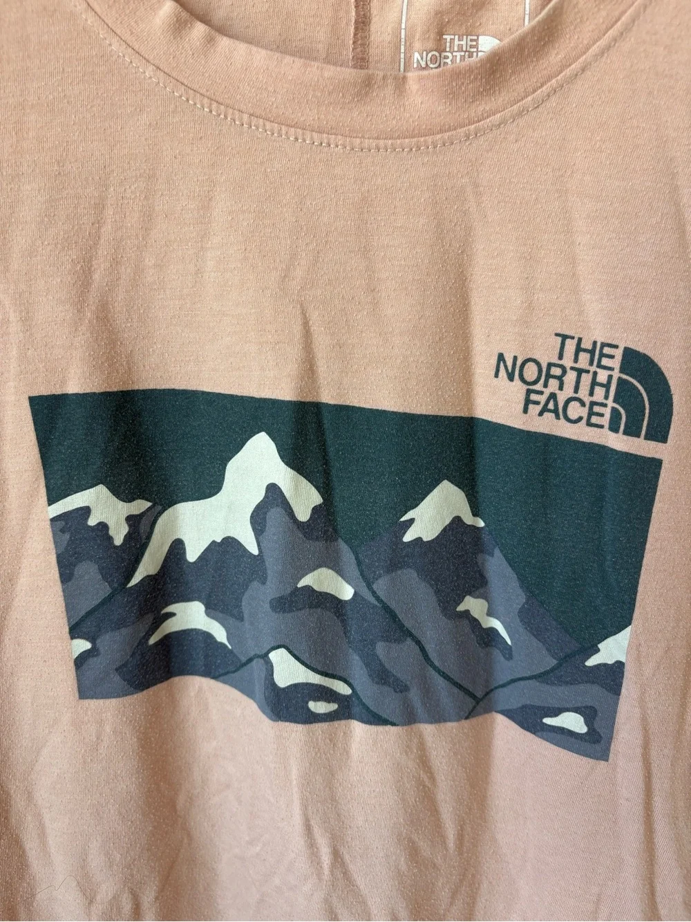 The North Face Dusty Rose Logo Crewneck Tee - Picture 2 of 4